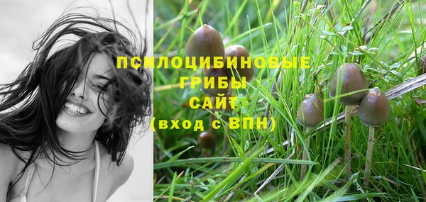 первитин Волосово