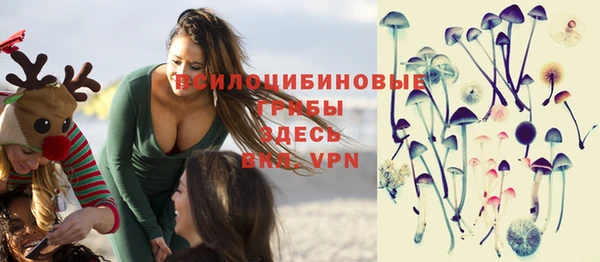МДМА Сясьстрой