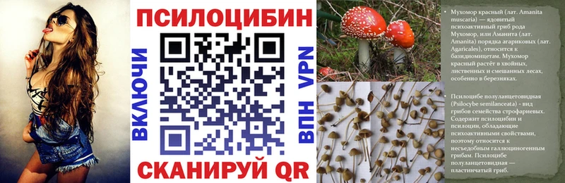 Галлюциногенные грибы GOLDEN TEACHER  продажа наркотиков  это телеграм  Славянск-на-Кубани 